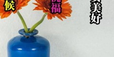 早上简短美句八个字(早上简短美句八个字图片)