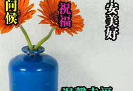 早上简短美句八个字(早上简短美句八个字图片)
