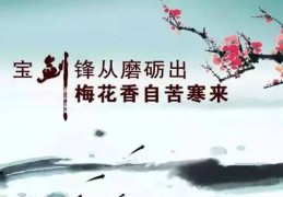 励志图片带字霸气超拽(励志图片带字 语录)