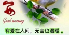 一日一句早安语带表情(一天一句暖心话早安祝福语)