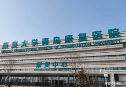 青岛精神疾病医院(青岛精神疾病医院哪家好)