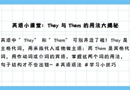他们有一些英语(他们有一些英语书英语的单数句子)
