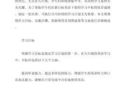 定制目标的英文怎么说(定制的目标如何达成)