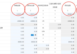 一个纳税额度(纳税上限)
