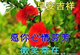 早安心语每日一语早上好(早安心语每日更新)