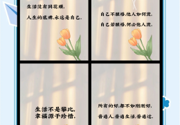 女人励志的短句(女人励志的短句霸气)