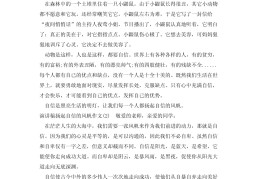 自信小故事以及感悟(自信小故事500字)