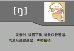英语怎么读容易记住(英语怎么读容易记住单词)