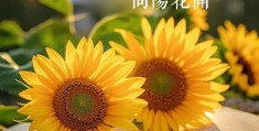 2020最火励志图(2020最新励志图片大全)