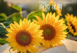 2020最火励志图(2020最新励志图片大全)