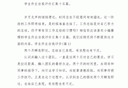 试用期自我评价及总结怎么写(试用期自我评价及总结怎么写简短)