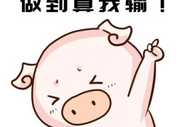什么叫做立flag(什么叫做立案)