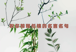 坚定信念的名言和诗句大全图片(坚定信念的诗句有哪些)