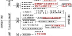 哲学的基本部分包括哪几项(哲学的基本是什么)