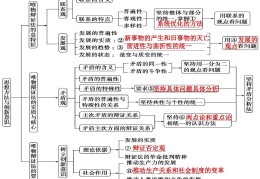哲学的基本部分包括哪几项(哲学的基本是什么)