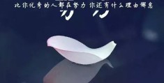 励志句子唯美图片(励志的句子唯美短句加图片)