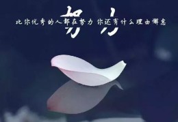 励志句子唯美图片(励志的句子唯美短句加图片)