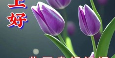 今日最佳早安句子冬天(今日最佳早安句子冬天图片)