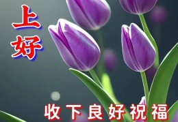 今日最佳早安句子冬天(今日最佳早安句子冬天图片)