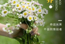 2021最新早安心语正能量(2021早安心语简单一句话 正能量的早安心语激励人的)