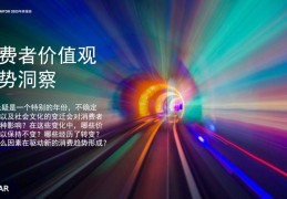 价值观与消费行为(价值观与消费观)
