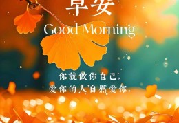 适合早上发的朋友圈正能量短句(早上发朋友圈的正能量的美好句子一)