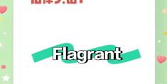 flage的意思(flager的意思)