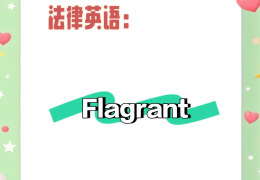 flage的意思(flager的意思)