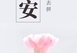 每日一句正能量早安最新(每日一句早安语录正能量语句)