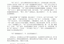 信念的感悟与思考作文(关于信念的思考与感悟简短)