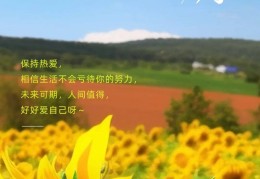 早安朋友圈文案短句干净(最吸引人的早安朋友圈)