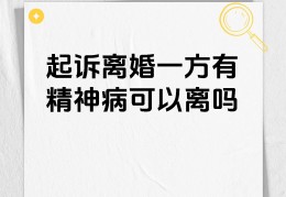 精神病人民事纠纷怎么起诉(精神病人打官司)