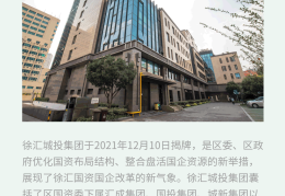 城投信息化(城投公司数据)