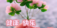 早安健康快乐暖心话图片款(早安健康快乐问候图片)