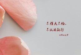 自我激励八个字舒心(自我激励 文字)