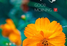 励志早安图片大全2024最新(励志早安图片大全2024最新版)