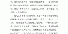 信念就是一种力量作文(信念就是一种力量作文800字)