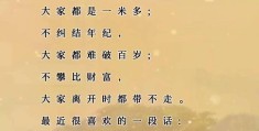 三观很正指的是哪三观(三观很正指的是什么)