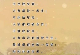 三观很正指的是哪三观(三观很正指的是什么)