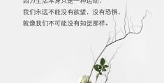 哲学中最经典的语句(哲学中最经典的语句摘抄)