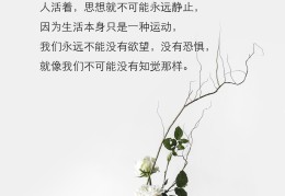 哲学中最经典的语句(哲学中最经典的语句摘抄)