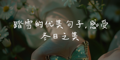 初雪的唯美说说(初雪的唯美说说短句)