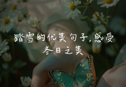 初雪的唯美说说(初雪的唯美说说短句)