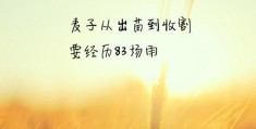 励志图片带字语录(励志图片带字语录简短)