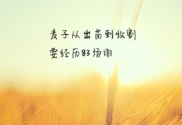 励志图片带字语录(励志图片带字语录简短)