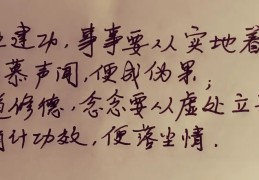 选择与坚守句子摘抄(选择与坚守的事实论据)