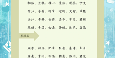 初心名字怎么样女孩(初心这个名字好听吗)