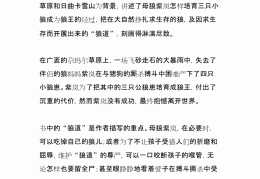 母狼白沙的故事读后感380字正好(母狼白沙的故事读后感380字正好写了什么)