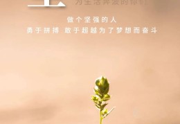 养生激励人的短句子(养生激励人的短句子图片)
