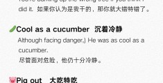 价值观包括哪些方面英文(价值观定义英文)